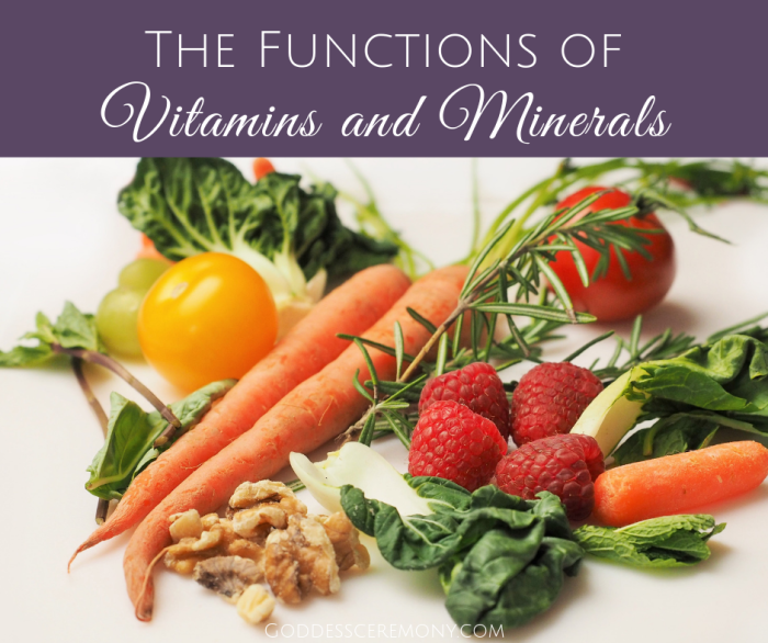 Vitamins minerals functions nutrients essential importance important they body functioning considered well