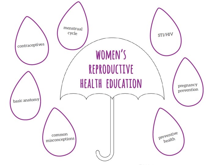Reproductive health sexual benefits investing guttmacher infographic
